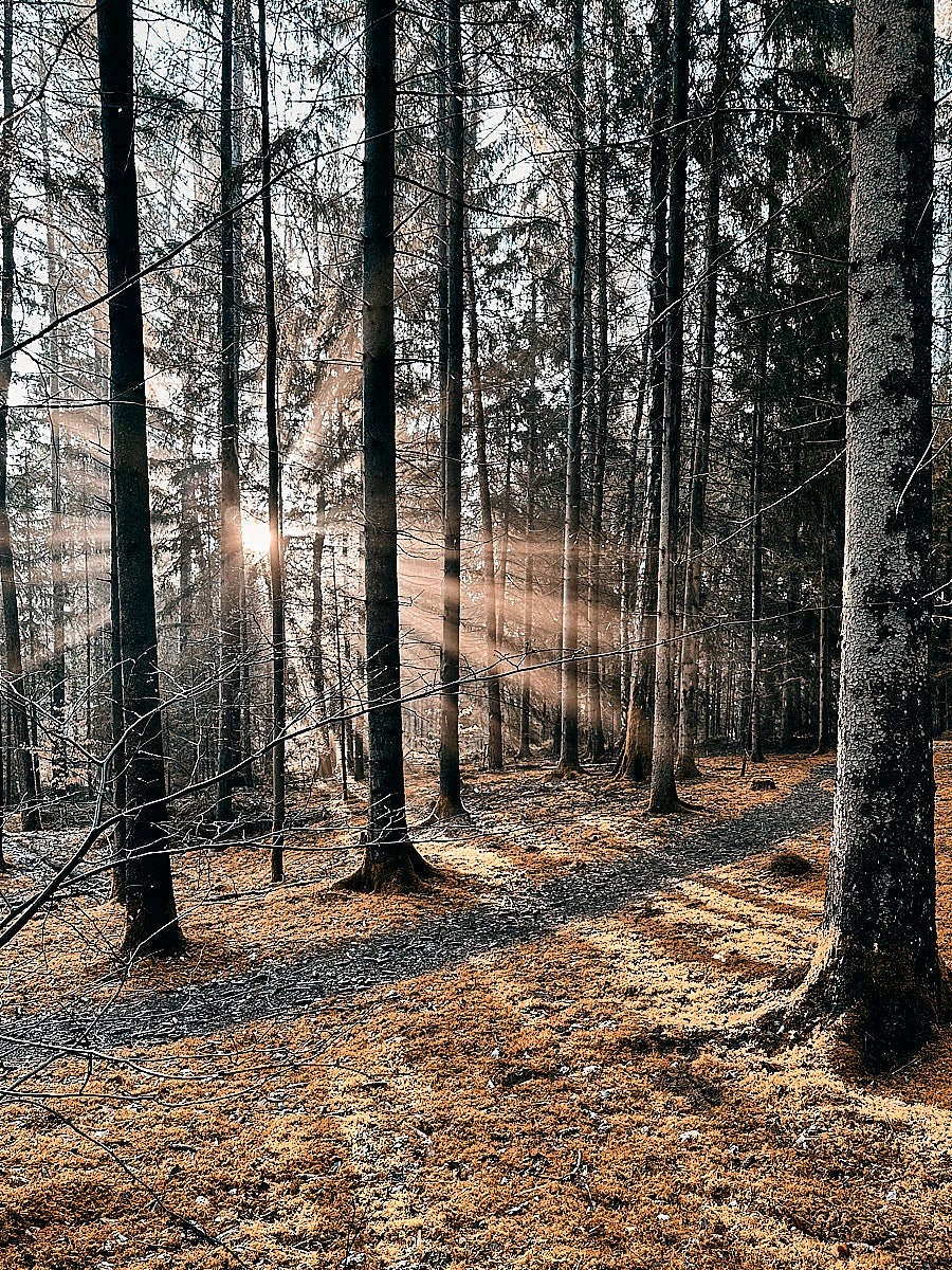 Trauerrednerin Andrea Schmid - Abschiedszeremonie